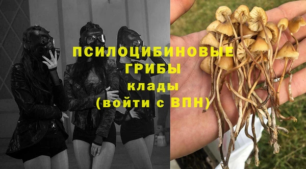 COCAINE Алексеевка