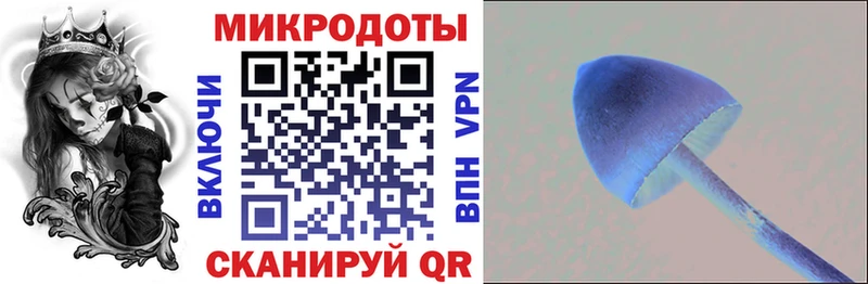 blacksprut зеркало  Лениногорск  Галлюциногенные грибы MAGIC MUSHROOMS 